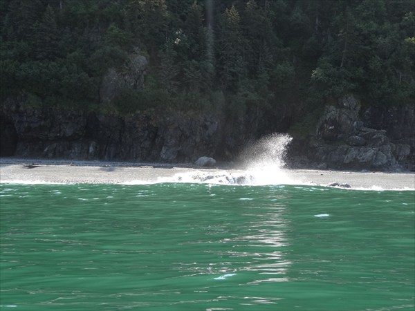 Охотское Море 246